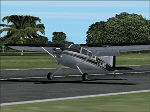 Relato - Cessna 185